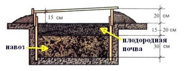  Schéma de la création d'une serre de chauffage biologique avec du fumier