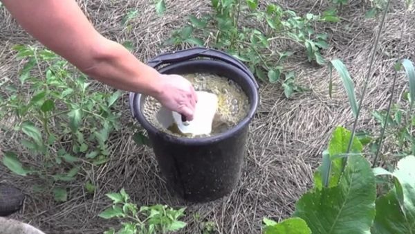  Fertilizantes, alimentaciones y acolchado.