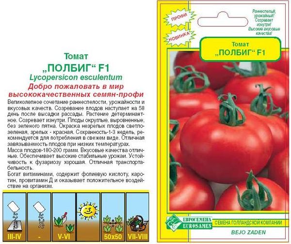  Graines Tomate Polbig F1