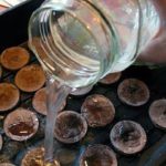  Pastillas de turba en un recipiente lleno de agua.