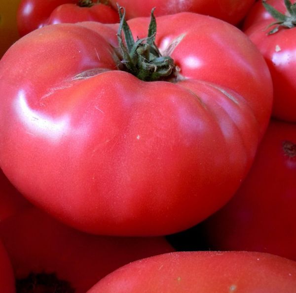  Les fruits de la variété sont considérés comme les plus délicieux parmi les tomates roses.