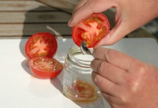  Tomatensamen-Sammlung