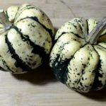  Variedades de calabaza pequeña.