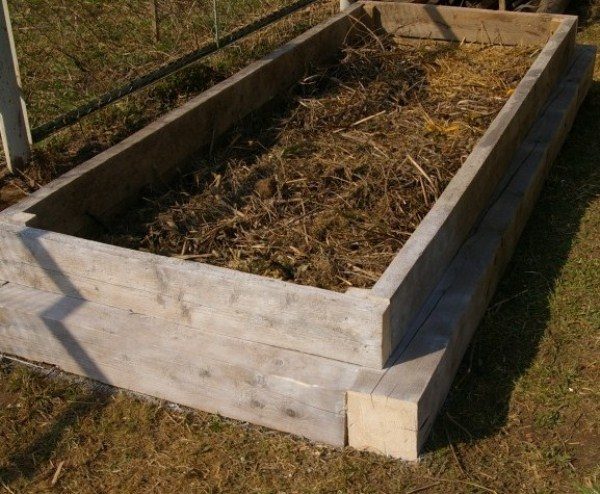  Preparación de una cama caliente para plantar pepinos.