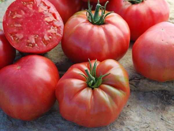  Tomates et bison de sucre se bouchent