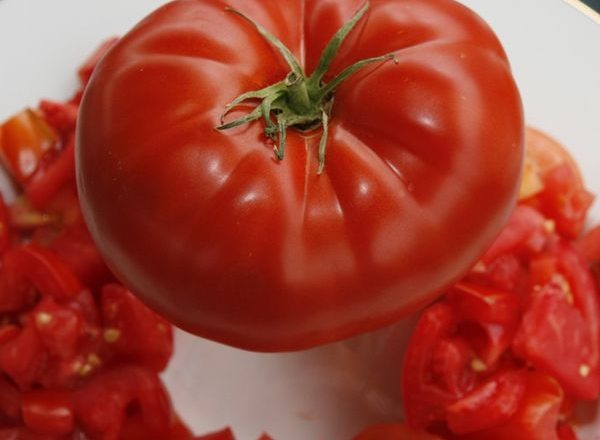  Tomate Gros Boeuf F1