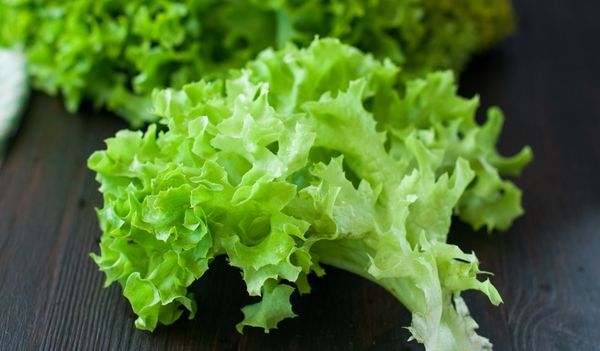  Lechuga de hoja de calorías - no más de 15 kcal por 100 gramos