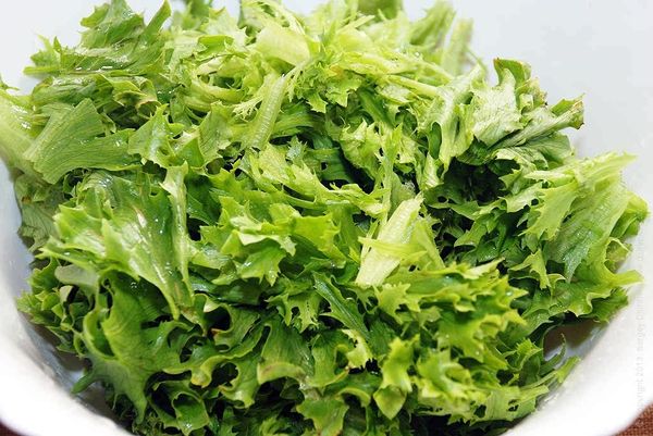  Preparar la mascarilla de lechuga antes de que se mueva finamente.