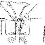  Schéma d'inoculation de forage