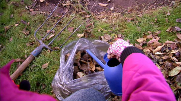  Le compost doit être riche en humidité.