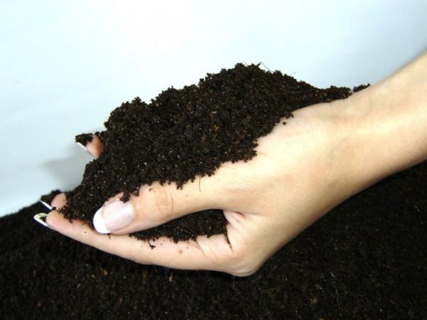  vermicompost