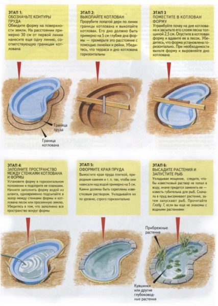  Le projet de faire une piscine pour la reproduction du poisson