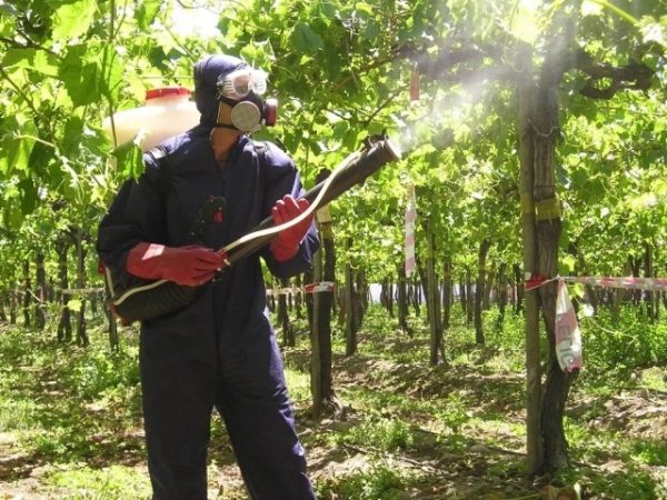  Όταν ψεκάζετε αυτό το προϊόν, χρησιμοποιήστε ατομικό προστατευτικό εξοπλισμό.