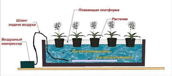  Le schéma de l'installation hydroponique la plus simple