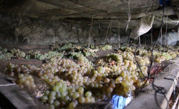  Stockage des raisins dans la cave