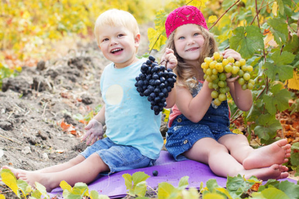  raisins pour enfants